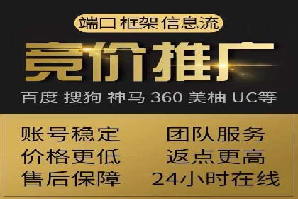 竞价推广成功案例解析